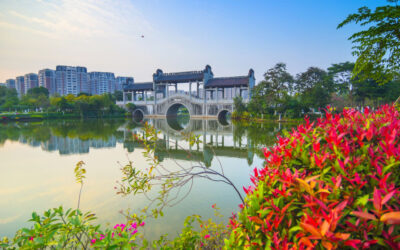 A Brief History of Midea Household Appliances