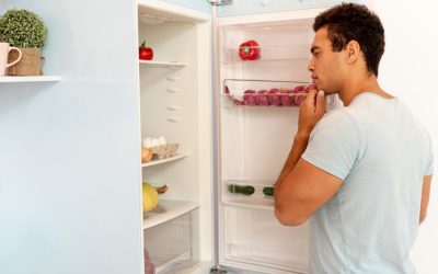 What Should I Check If My Fridge Stopped Cooling, and When Should I Call a Repair Technician?